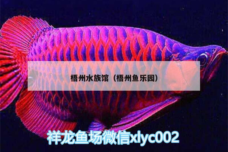 梧州水族馆（梧州鱼乐园） 福满钻鱼