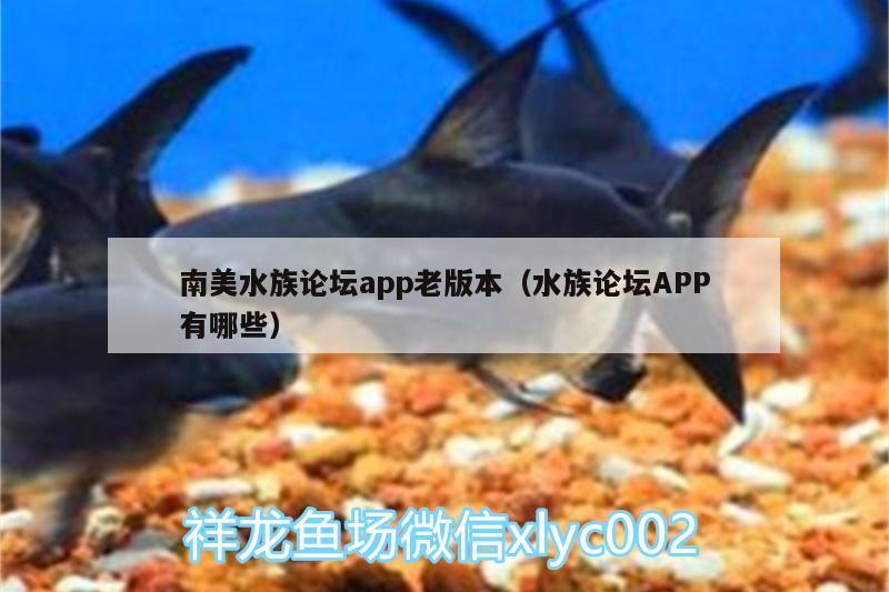 南美水族论坛app老版本（水族论坛APP有哪些）