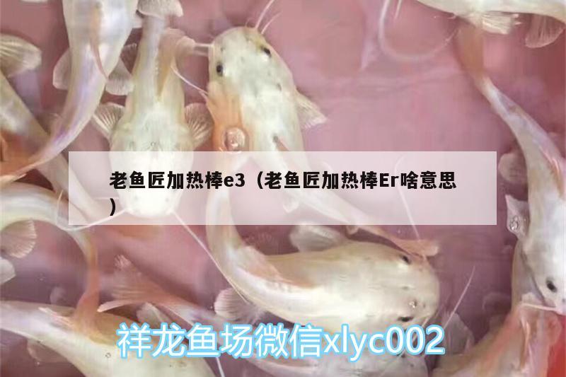 老鱼匠加热棒e3（老鱼匠加热棒Er啥意思） 老鱼匠