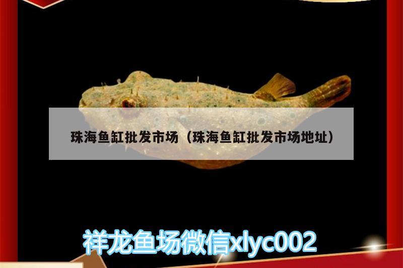 珠海鱼缸批发市场（珠海鱼缸批发市场地址） 水族用品