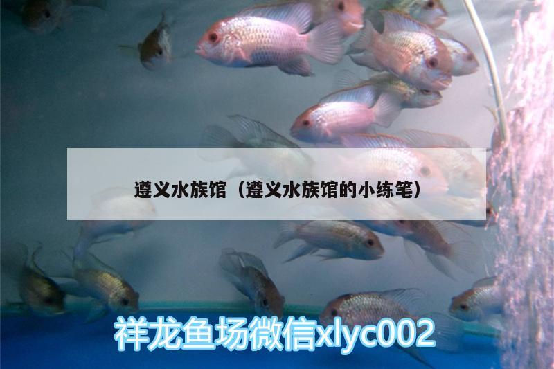 遵义水族馆（遵义水族馆的小练笔）