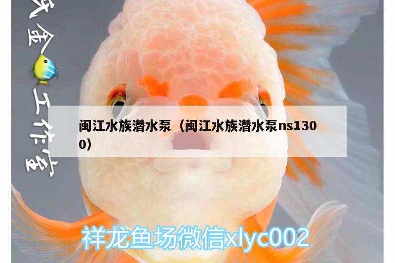 闽江水族潜水泵（闽江水族潜水泵ns1300） 超血红龙鱼