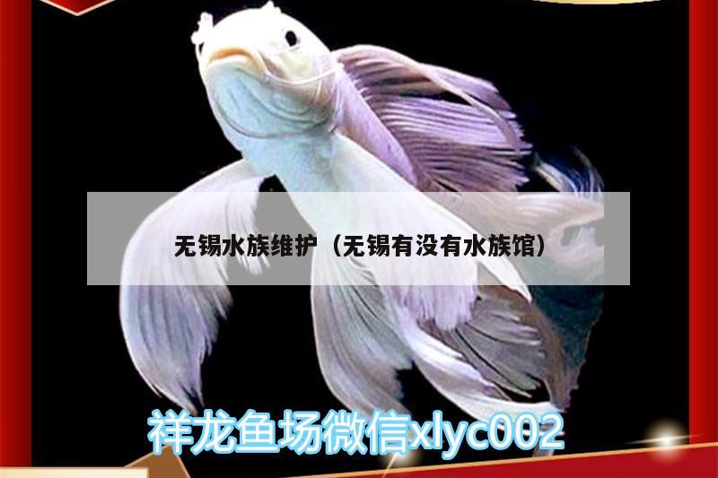 无锡水族维护（无锡有没有水族馆）