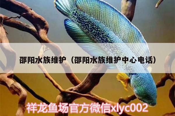 邵阳水族维护（邵阳水族维护中心电话）