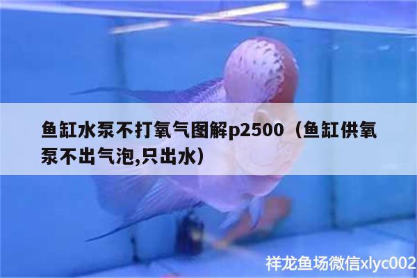 鱼缸水泵不打氧气图解p2500（鱼缸供氧泵不出气泡,只出水）