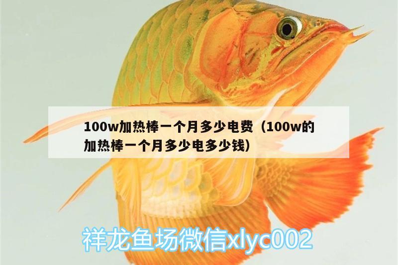 100w加热棒一个月多少电费（100w的加热棒一个月多少电多少钱） 其它水族用具设备