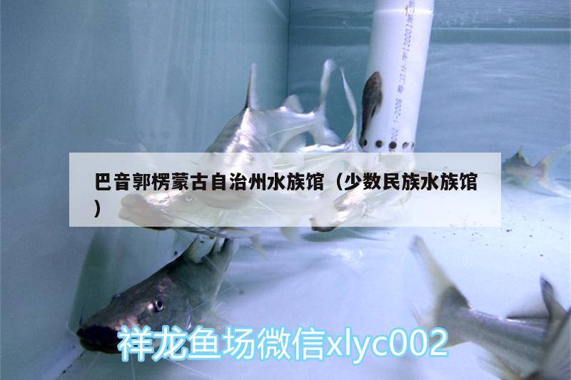 巴音郭楞蒙古自治州水族馆（少数民族水族馆） 龙鱼批发