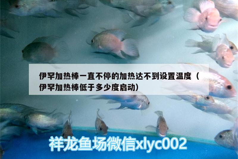 伊罕加热棒一直不停的加热达不到设置温度（伊罕加热棒低于多少度启动） 伊罕水族