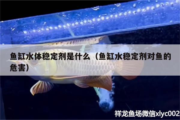 鱼缸水体稳定剂是什么（鱼缸水稳定剂对鱼的危害）