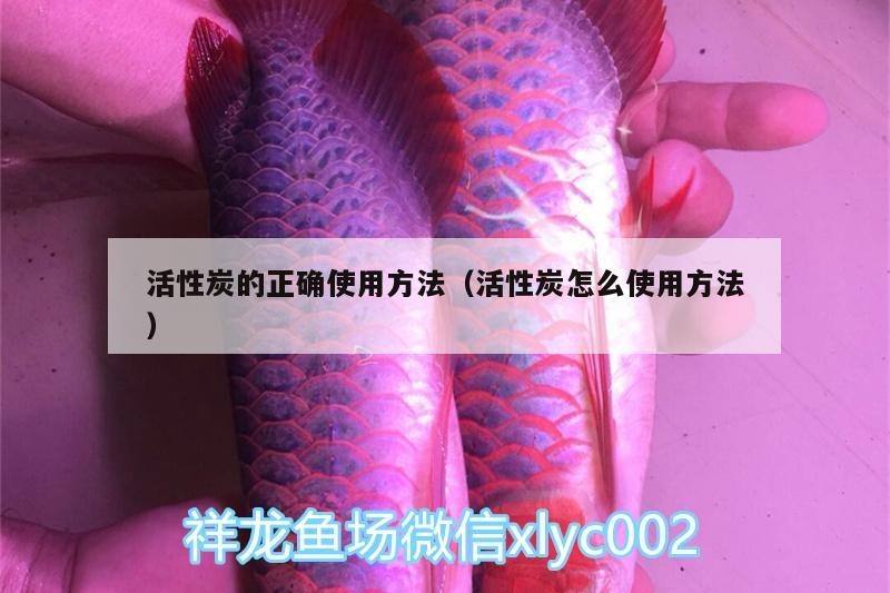 活性炭的正确使用方法（活性炭怎么使用方法）