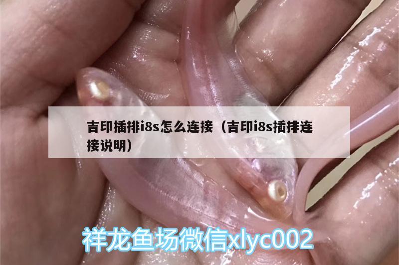 吉印插排i8s怎么连接（吉印i8s插排连接说明）