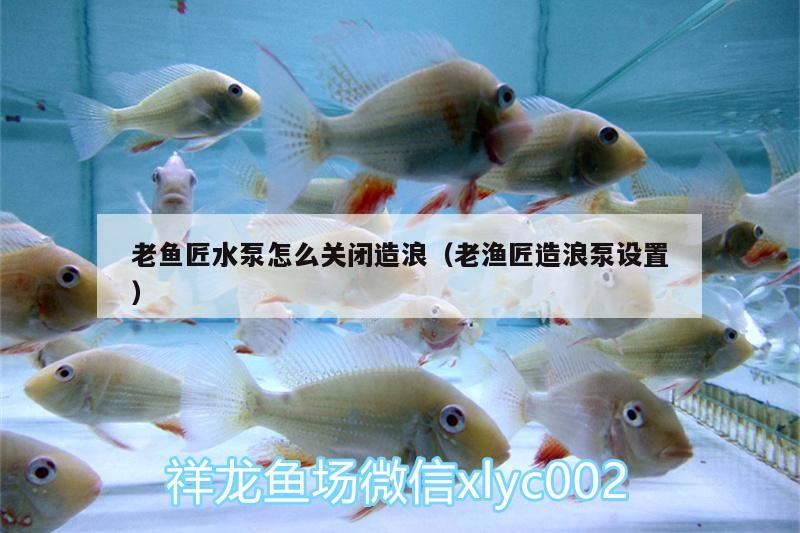 老鱼匠水泵怎么关闭造浪（老渔匠造浪泵设置） 老鱼匠