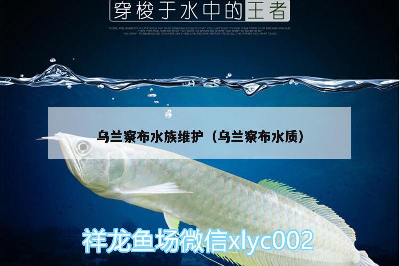 乌兰察布水族维护（乌兰察布水质）