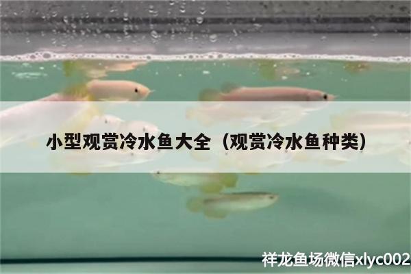 小型观赏冷水鱼大全（观赏冷水鱼种类）