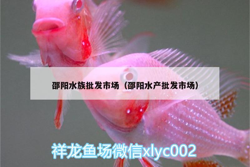 邵阳水族批发市场（邵阳水产批发市场）