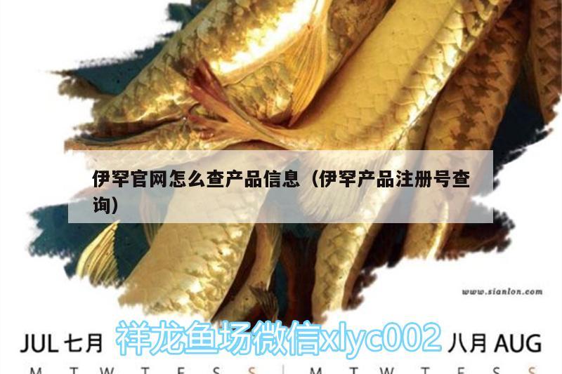 伊罕官网怎么查产品信息（伊罕产品注册号查询）