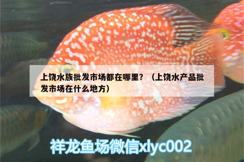 上饶水族批发市场都在哪里？（上饶水产品批发市场在什么地方） 观赏鱼水族批发市场 第2张