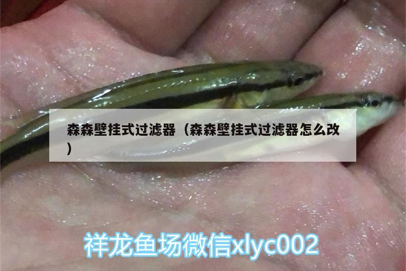 森森壁挂式过滤器（森森壁挂式过滤器怎么改）