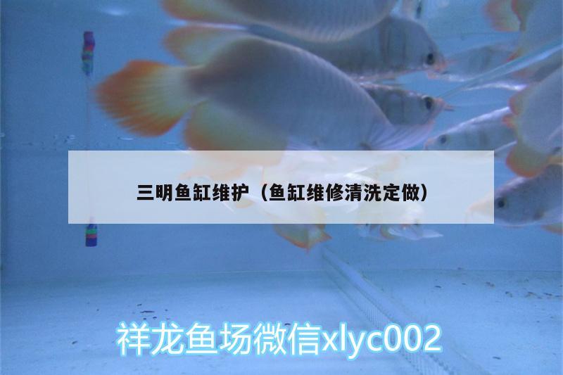 三明鱼缸维护（鱼缸维修清洗定做） 其它水族用具设备