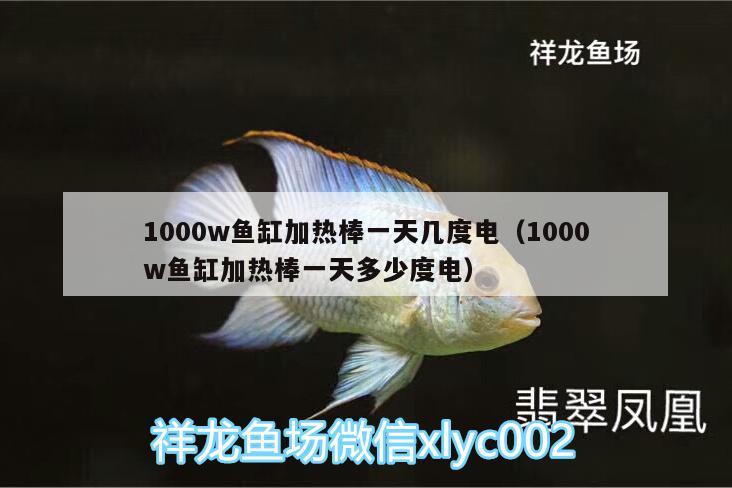 1000w鱼缸加热棒一天几度电（1000w鱼缸加热棒一天多少度电）