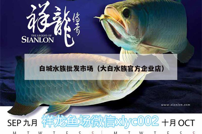 白城水族批发市场（大白水族官方企业店）