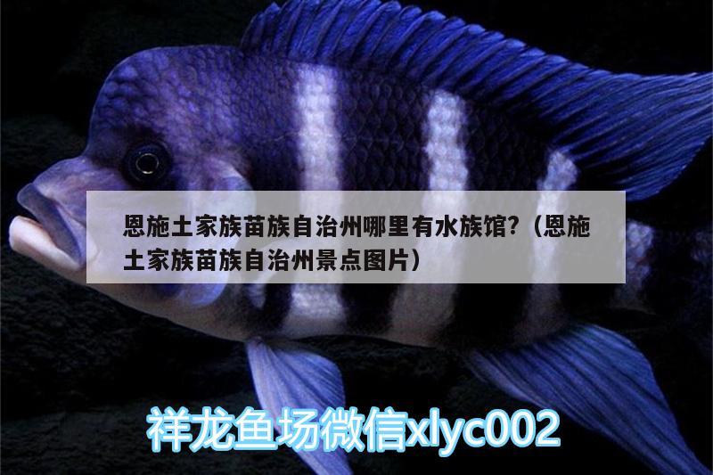 恩施土家族苗族自治州哪里有水族馆?（恩施土家族苗族自治州景点图片）