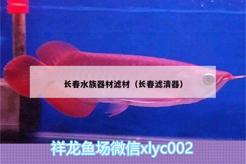 长春水族器材滤材（长春滤清器） 三间鼠鱼