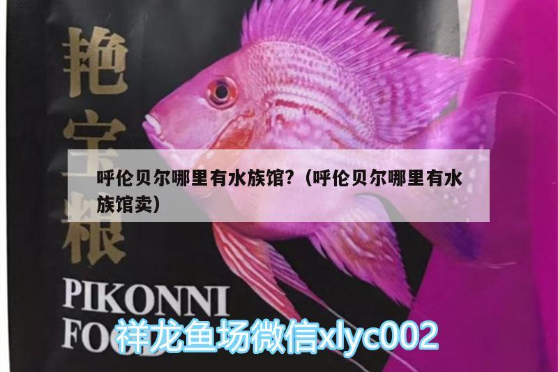 呼伦贝尔哪里有水族馆?（呼伦贝尔哪里有水族馆卖）