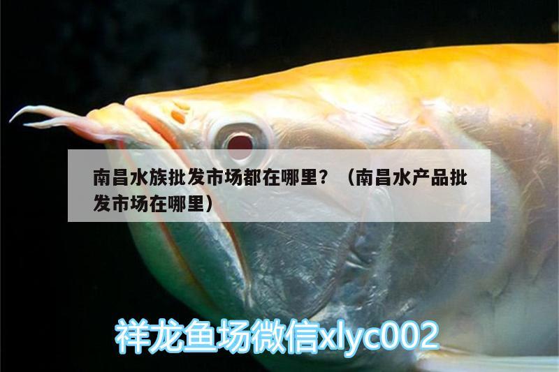 南昌水族批发市场都在哪里？（南昌水产品批发市场在哪里）