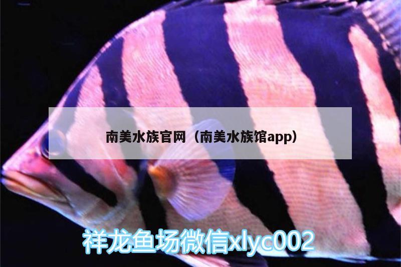 南美水族官网（南美水族馆app）