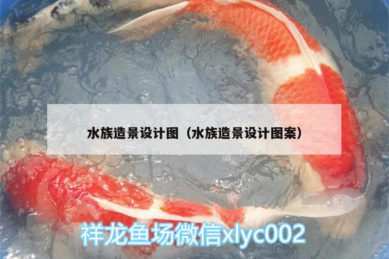 水族造景设计图（水族造景设计图案） 观赏鱼市场