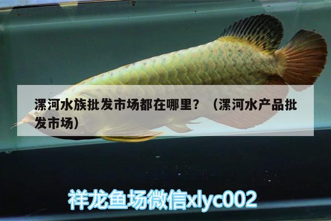 漯河水族批发市场都在哪里？（漯河水产品批发市场）