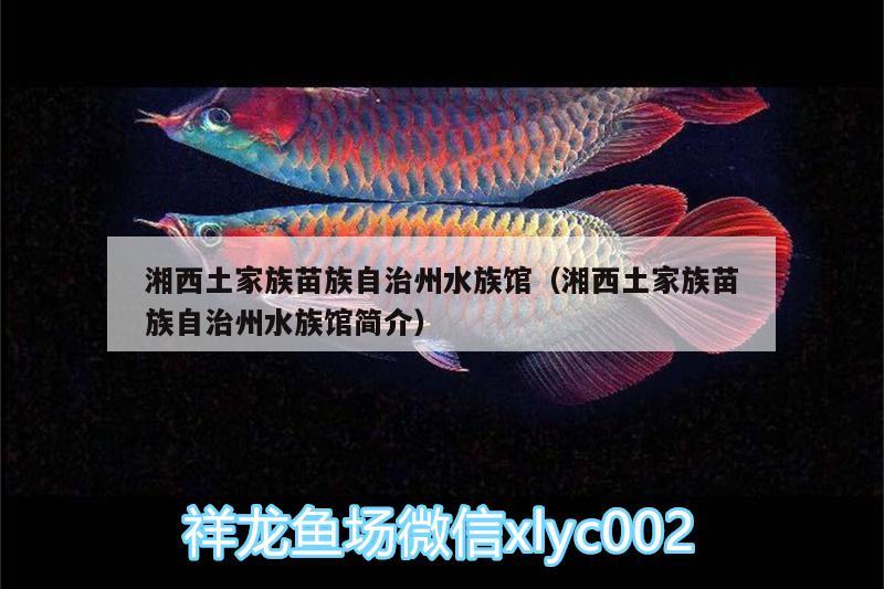 湘西土家族苗族自治州水族馆（湘西土家族苗族自治州水族馆简介）