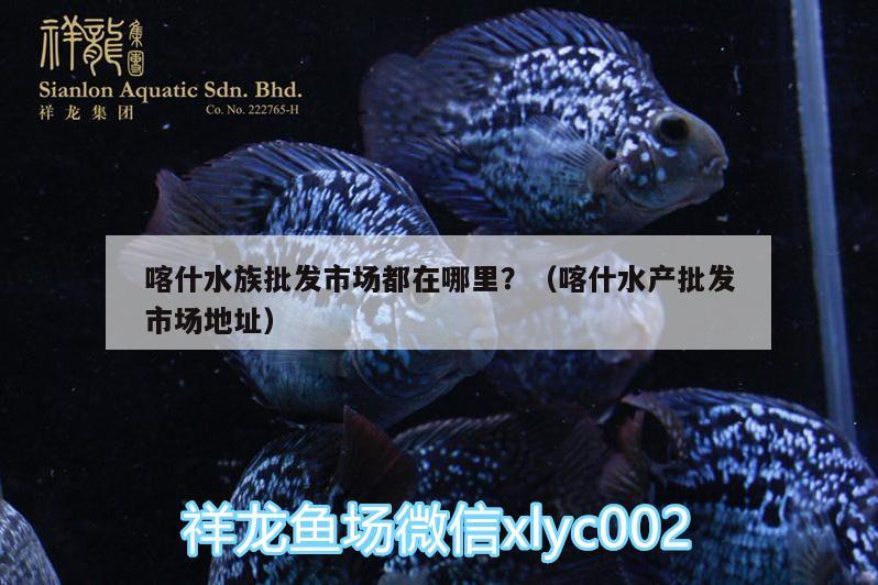 喀什水族批发市场都在哪里？（喀什水产批发市场地址） 观赏鱼水族批发市场 第2张