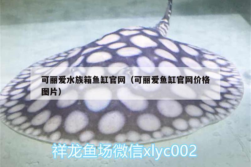 可丽爱水族箱鱼缸官网（可丽爱鱼缸官网价格图片）