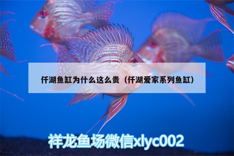 仟湖鱼缸为什么这么贵（仟湖爱家系列鱼缸）