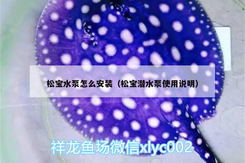 松宝水泵怎么安装（松宝潜水泵使用说明） 红老虎鱼 第1张