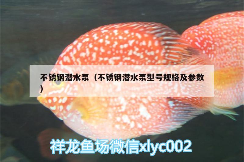 不锈钢潜水泵（不锈钢潜水泵型号规格及参数）