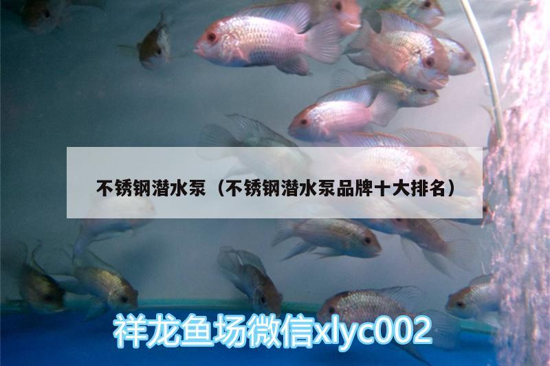 不锈钢潜水泵（不锈钢潜水泵品牌十大排名） 鱼缸等水族设备 第1张