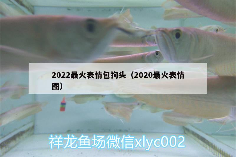 2022最火表情包狗头（2020最火表情图） 喷点菠萝鱼 第2张