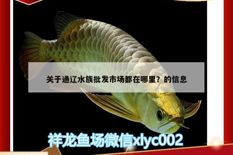 关于通辽水族批发市场都在哪里？的信息