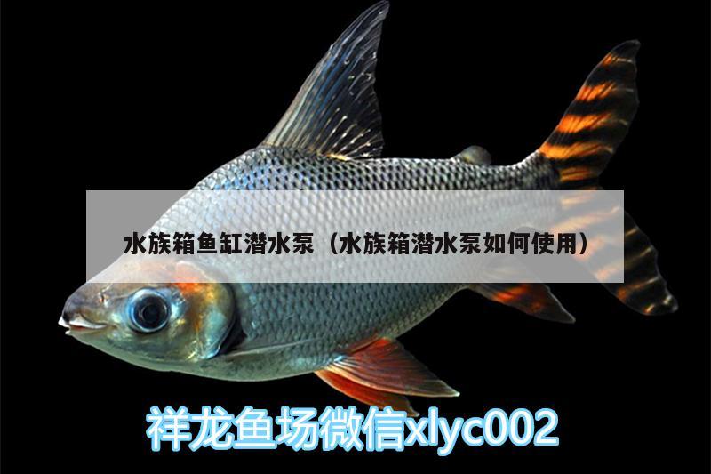 水族箱鱼缸潜水泵（水族箱潜水泵如何使用） 鱼缸/水族箱 第1张