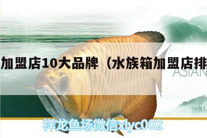 水族加盟店10大品牌（水族箱加盟店排行榜）