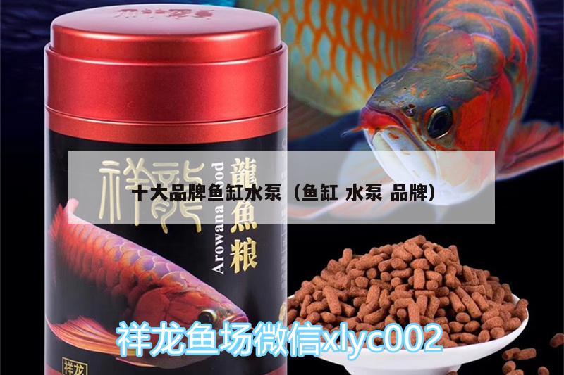 十大品牌鱼缸水泵（鱼缸水泵品牌） 鱼缸水泵 第1张