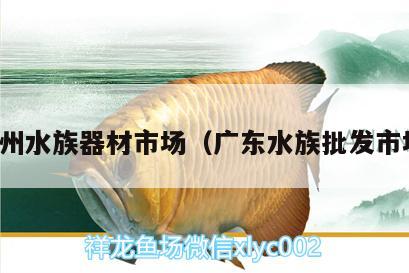 广州水族器材市场（广东水族批发市场） 观赏鱼水族批发市场 第3张