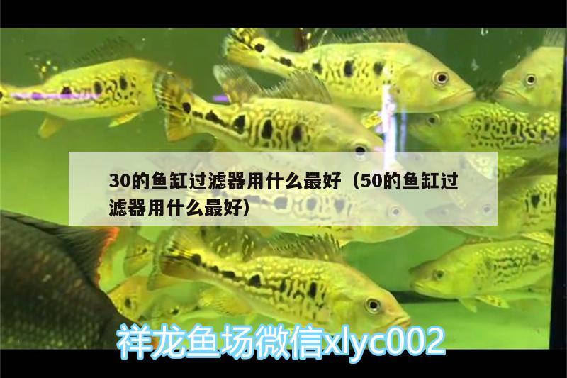 30的鱼缸过滤器用什么最好（50的鱼缸过滤器用什么最好）