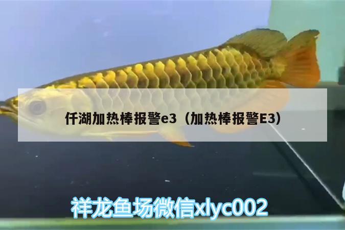 仟湖加热棒报警e3（加热棒报警E3） 仟湖 第1张