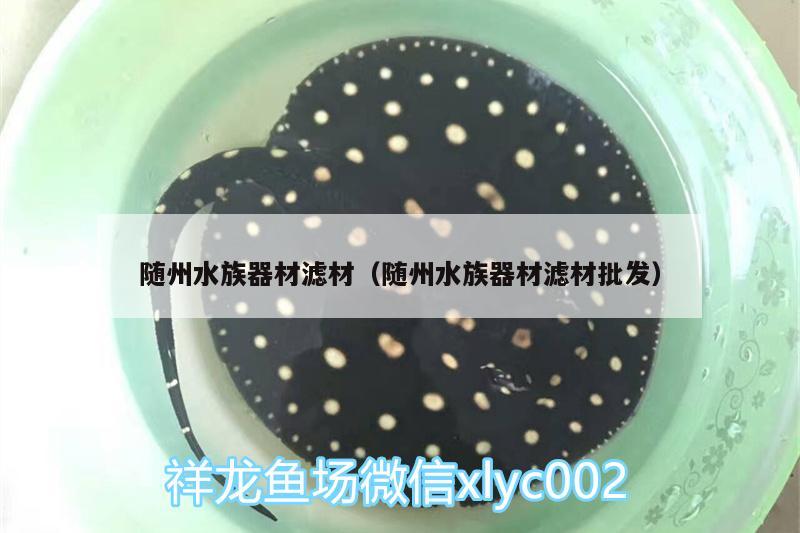 随州水族器材滤材（随州水族器材滤材批发） 熊猫异形鱼L46 第3张