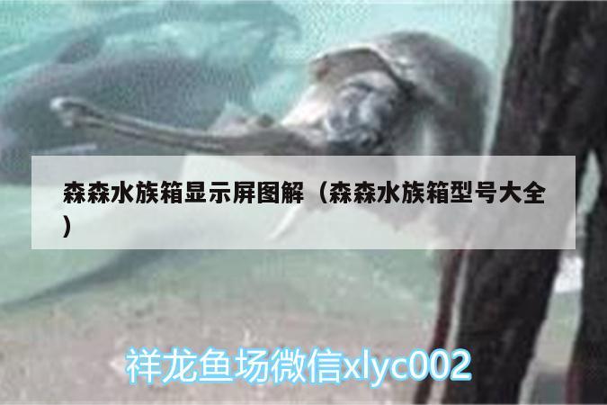 森森水族箱显示屏图解（森森水族箱型号大全）