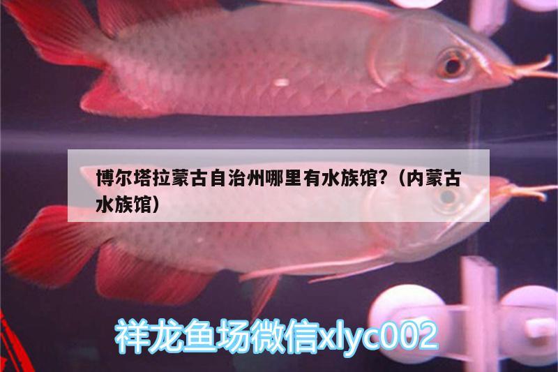 博尔塔拉蒙古自治州哪里有水族馆?（内蒙古水族馆）